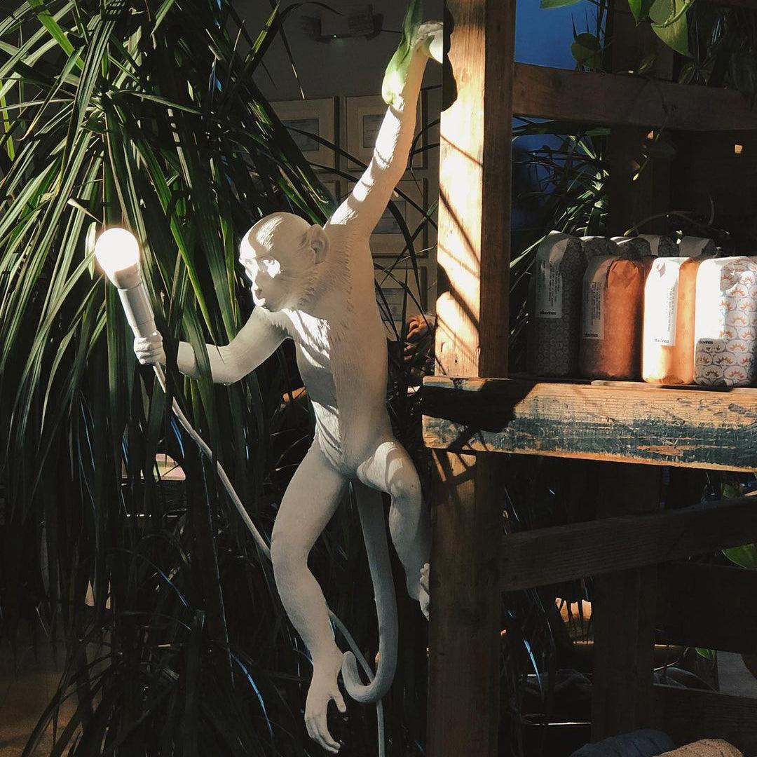 monkey-wall-lamp-anzaz--25