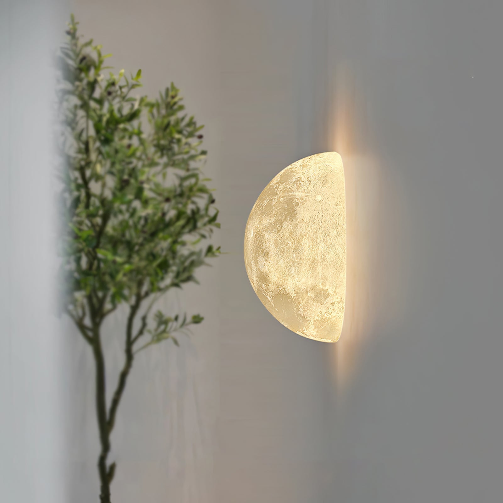 hemisphere-moon-wall-lamp-anzaz--10