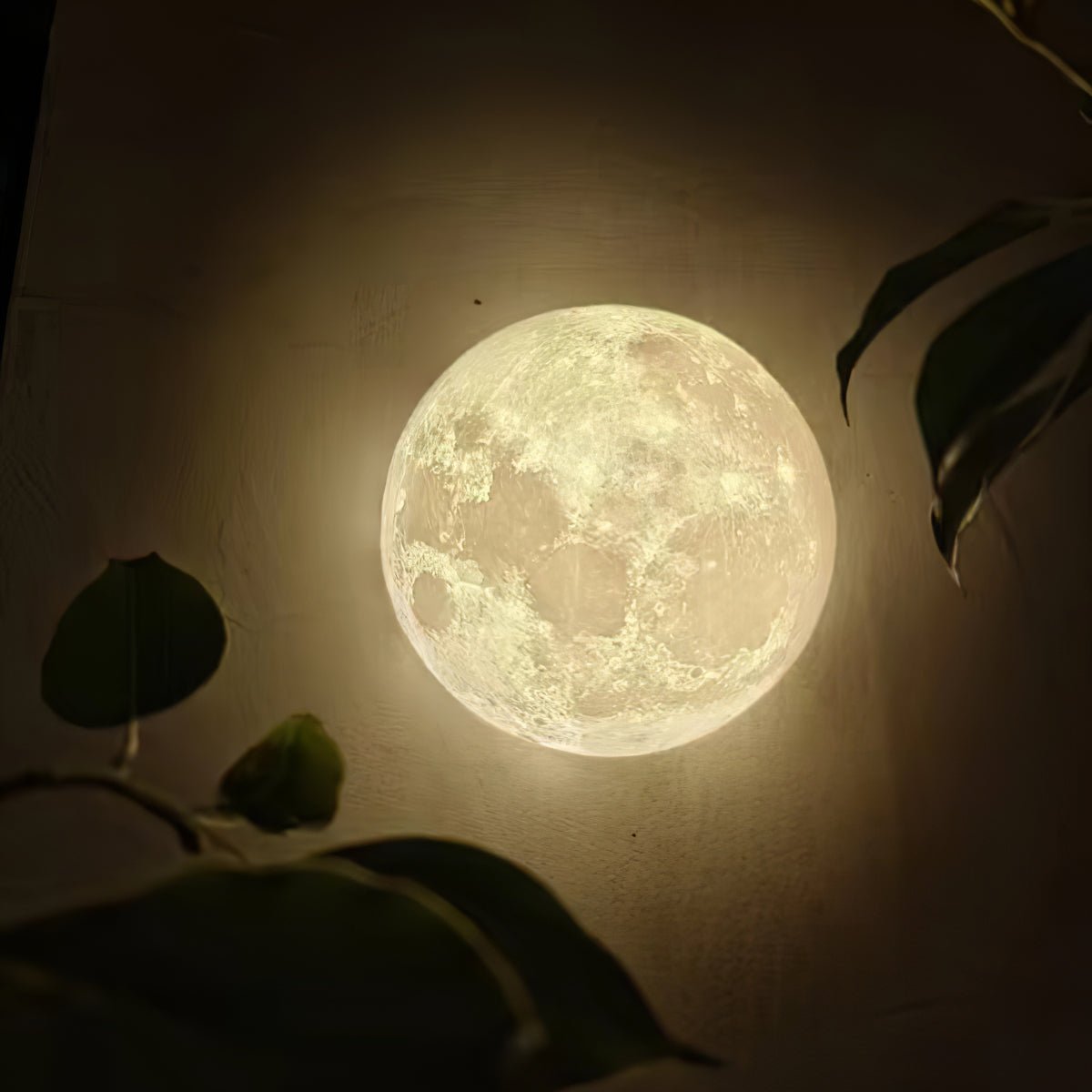 hemisphere-moon-wall-lamp-anzaz--37