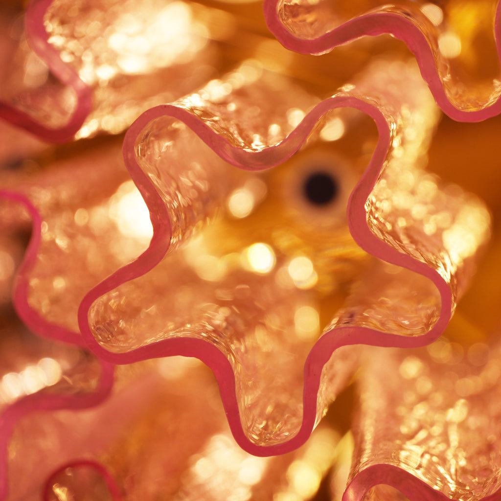 murano-pink-glass-ceiling-light-anzaz--46