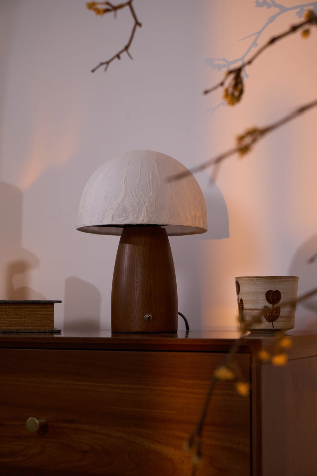 myco-mushroom-table-lamp-anzaz--28