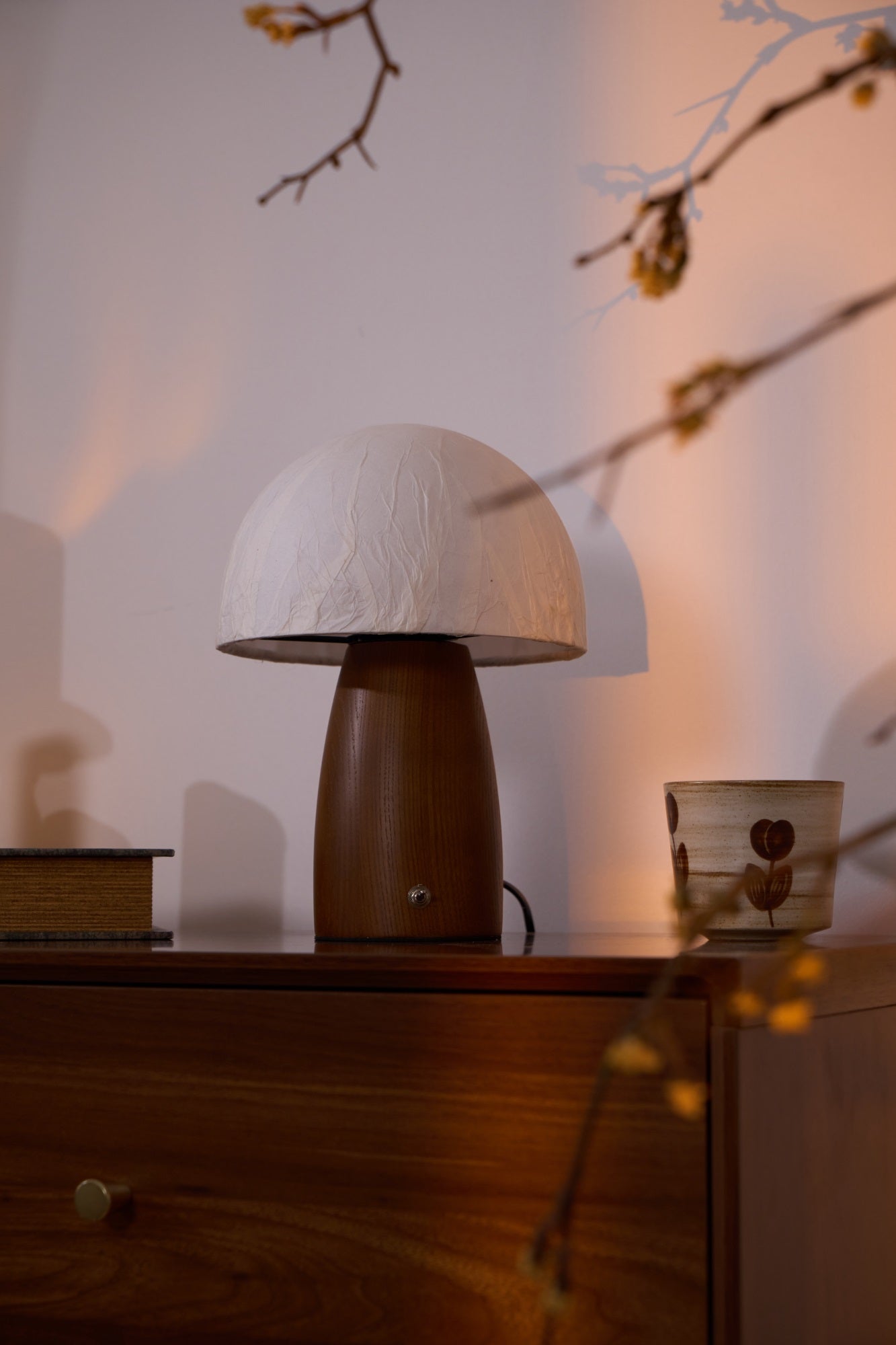 myco-mushroom-table-lamp-anzaz--28