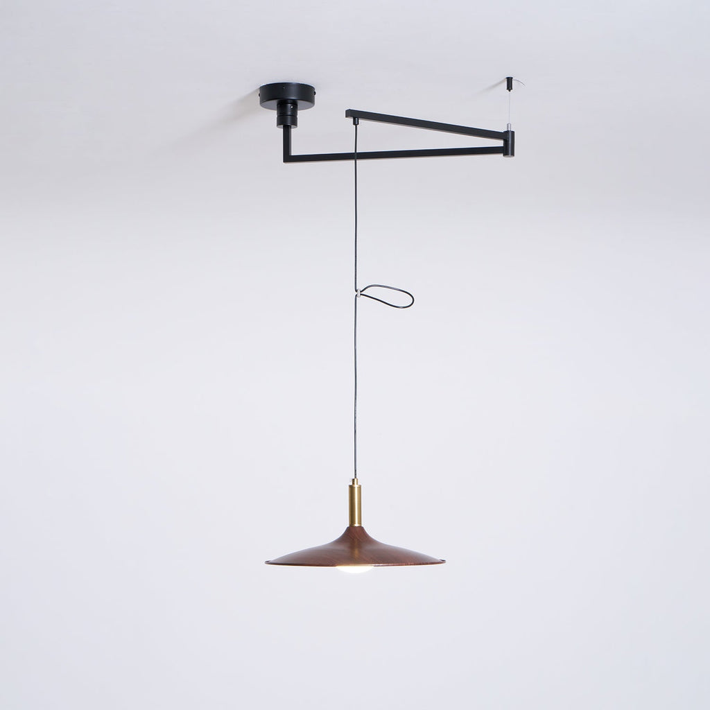 crane-swing-arm-pendant-lamp-anzaz--11