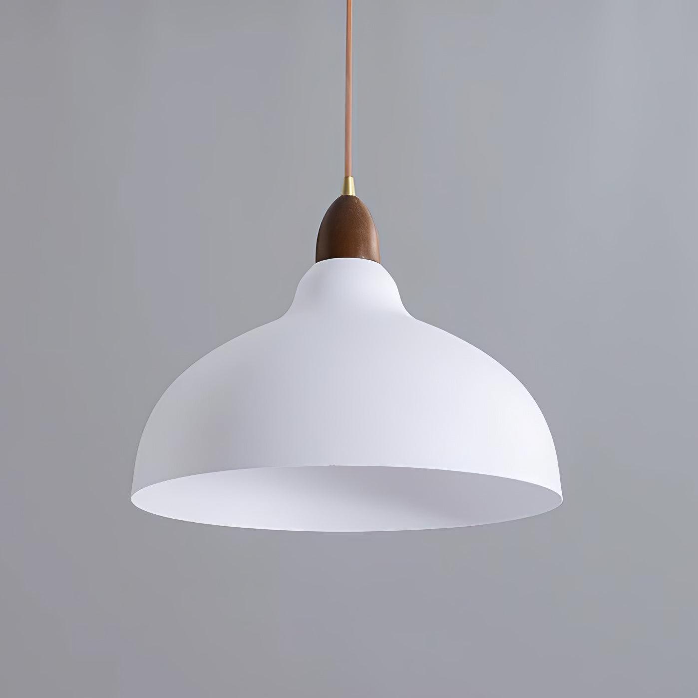 natural-rustic-pendant-lamp-anzaz--20