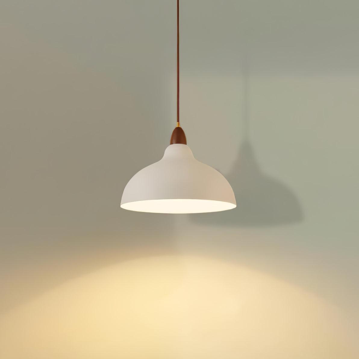 natural-rustic-pendant-lamp-anzaz--38