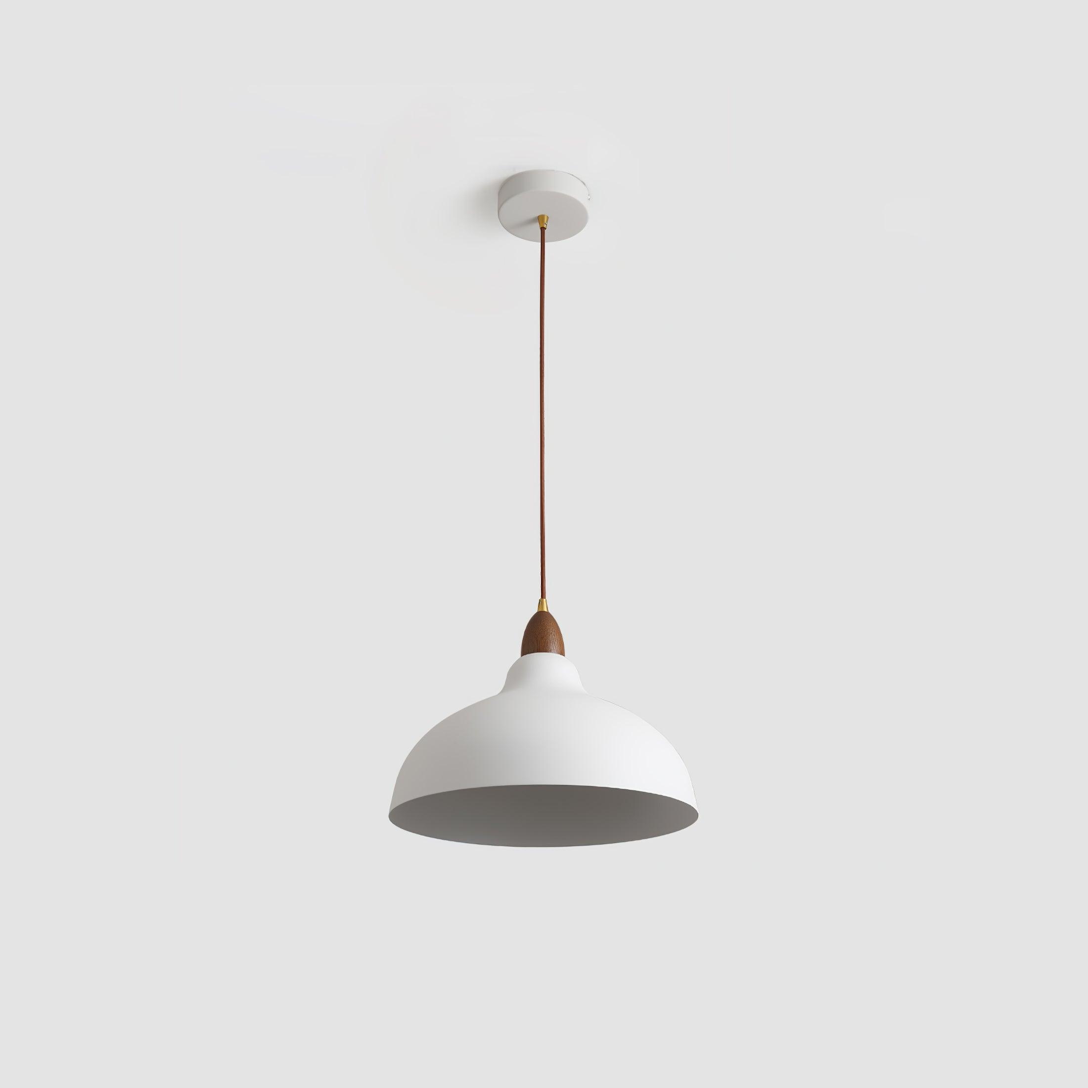 natural-rustic-pendant-lamp-anzaz--54