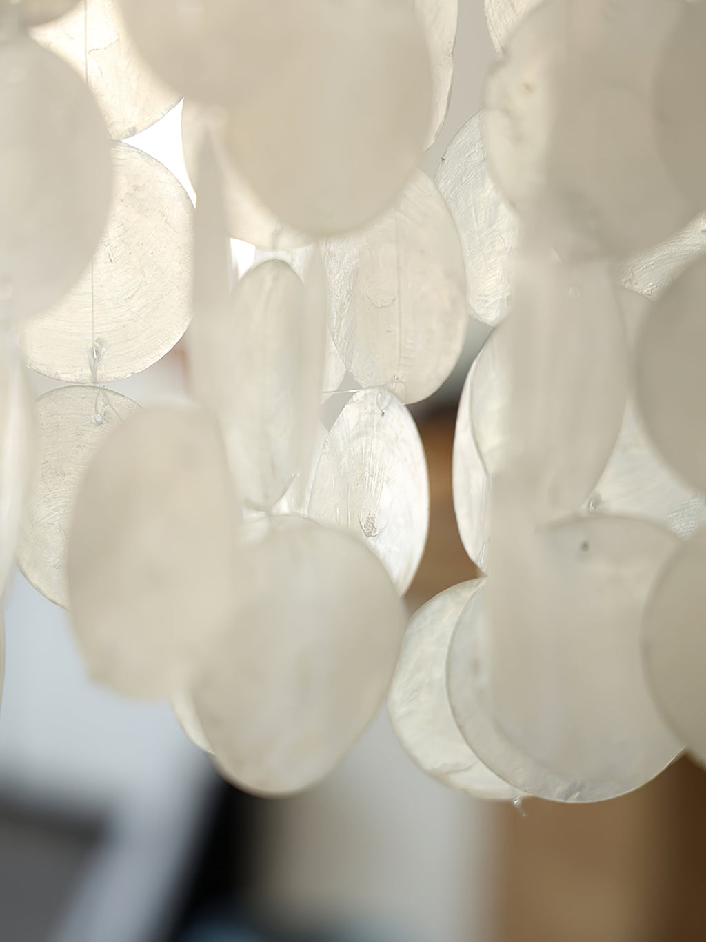 nerida-shell-chandelier-anzaz--15