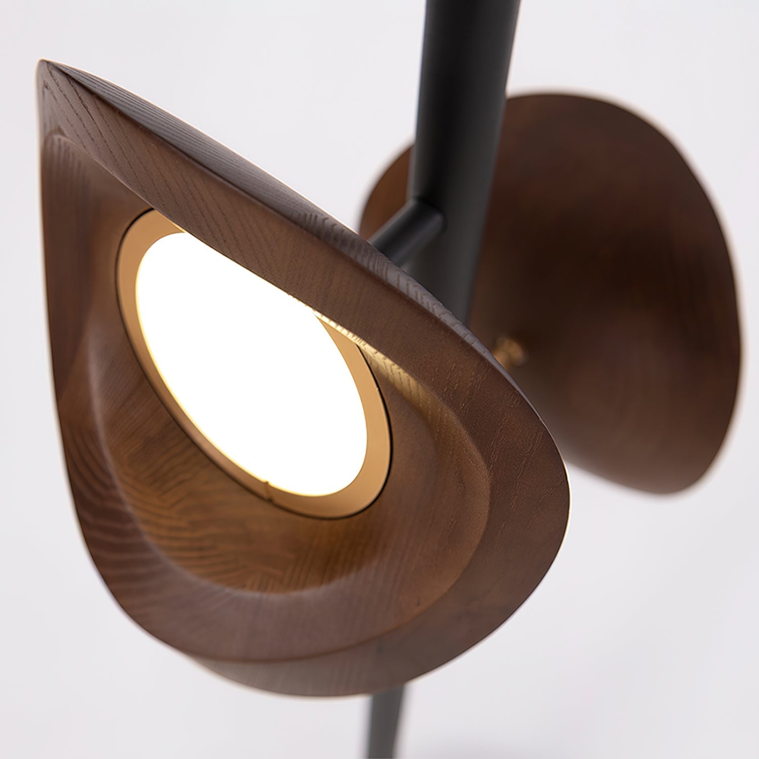 nest-floor-lamp-anzaz--11