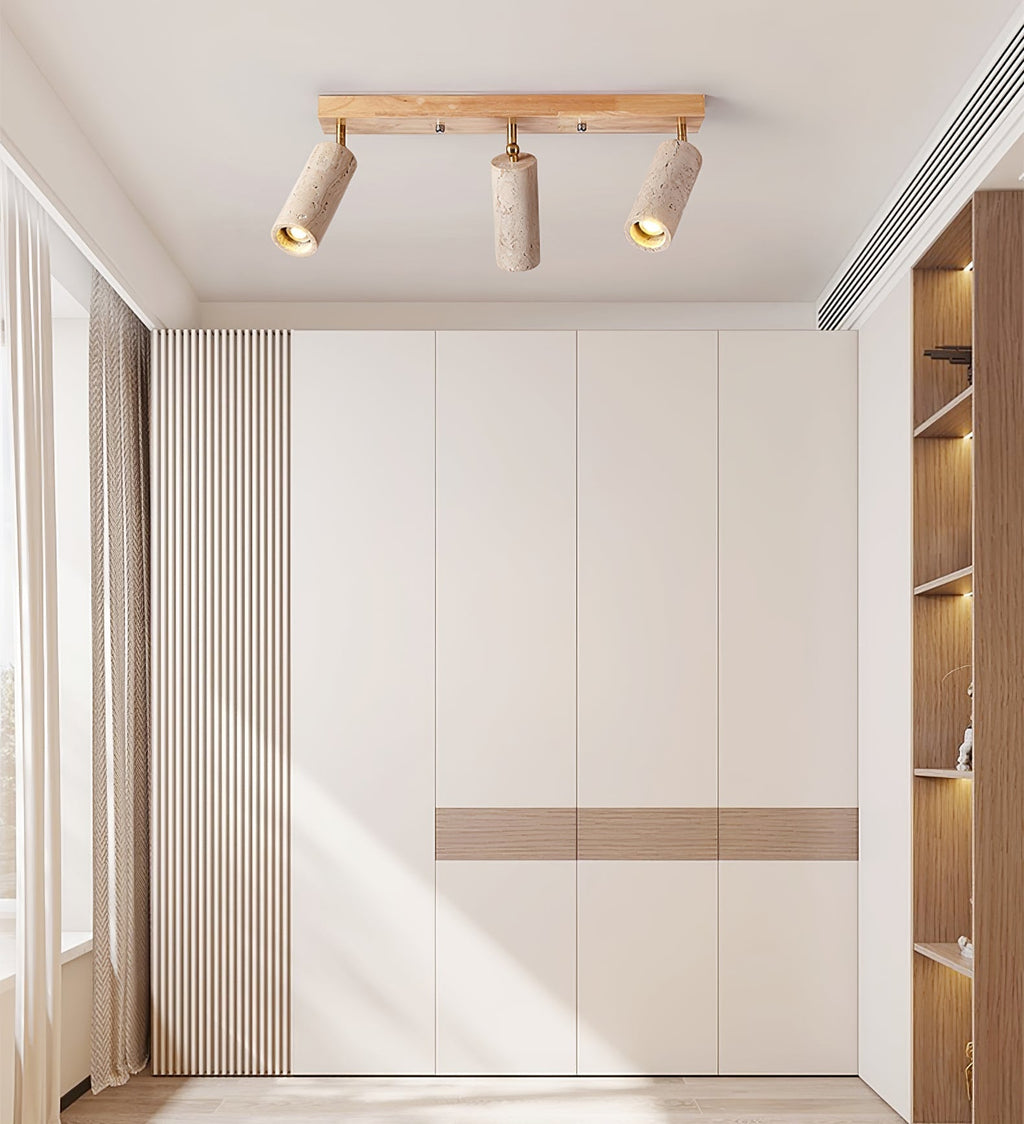 nimbus-ceiling-spotlight-anzaz--23