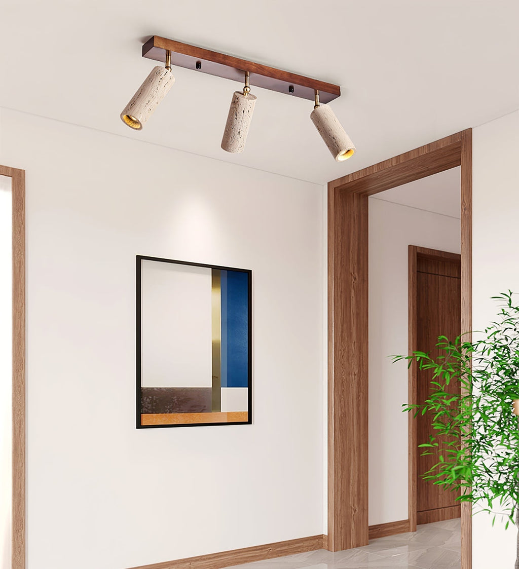 nimbus-ceiling-spotlight-anzaz--18