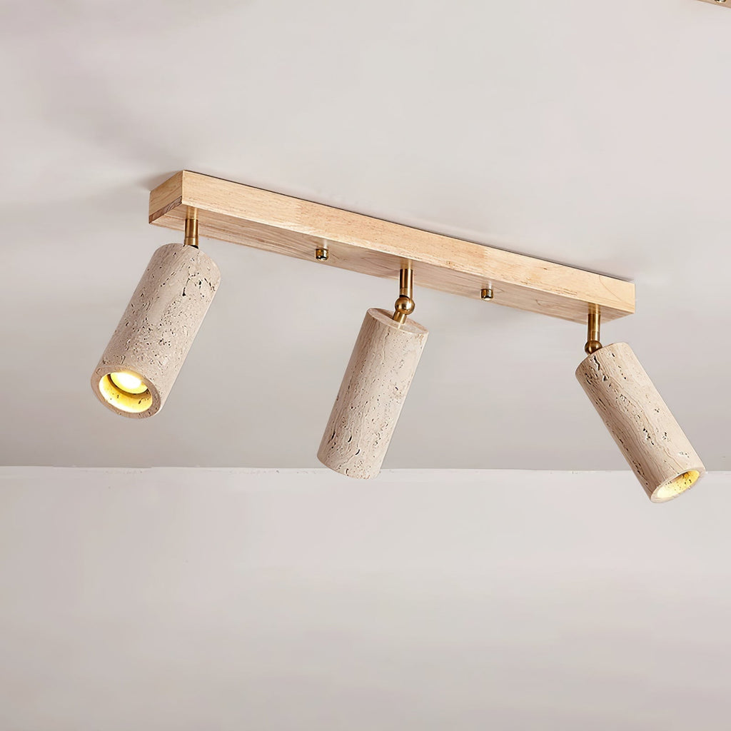 nimbus-ceiling-spotlight-anzaz--9
