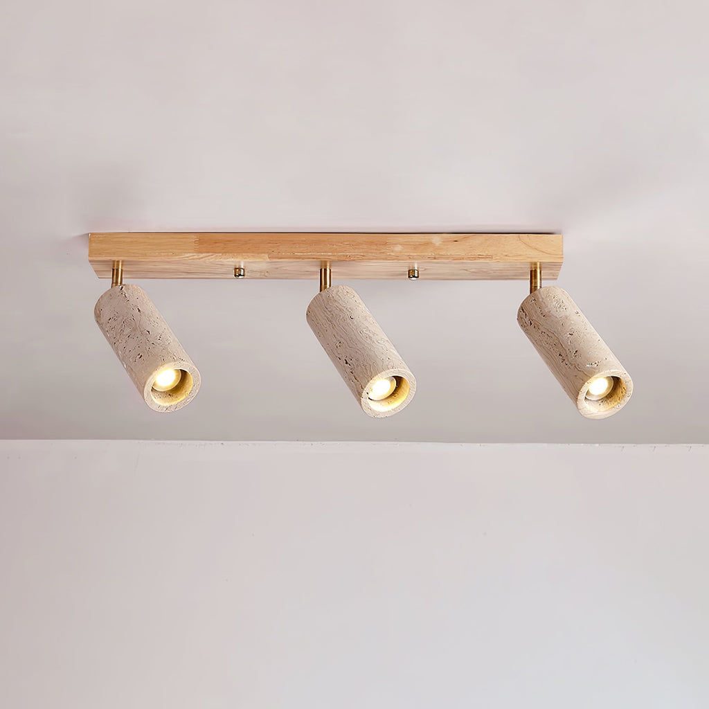 nimbus-ceiling-spotlight-anzaz--10