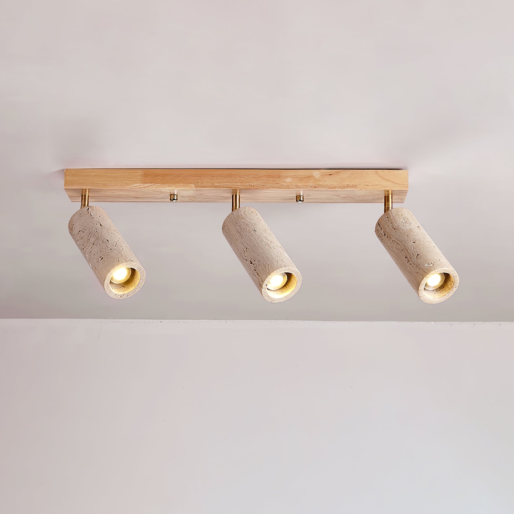 nimbus-ceiling-spotlight-anzaz--10