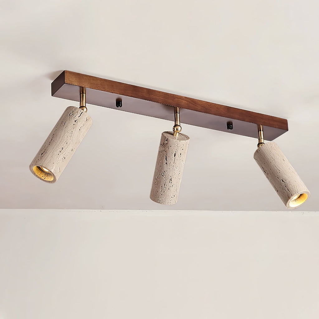 nimbus-ceiling-spotlight-anzaz--11