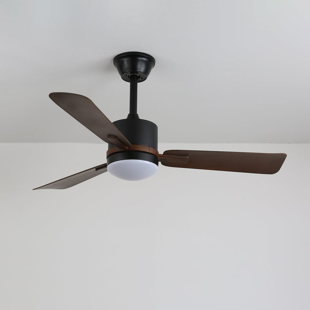 nimora-ceiling-fan-light-anzaz--4