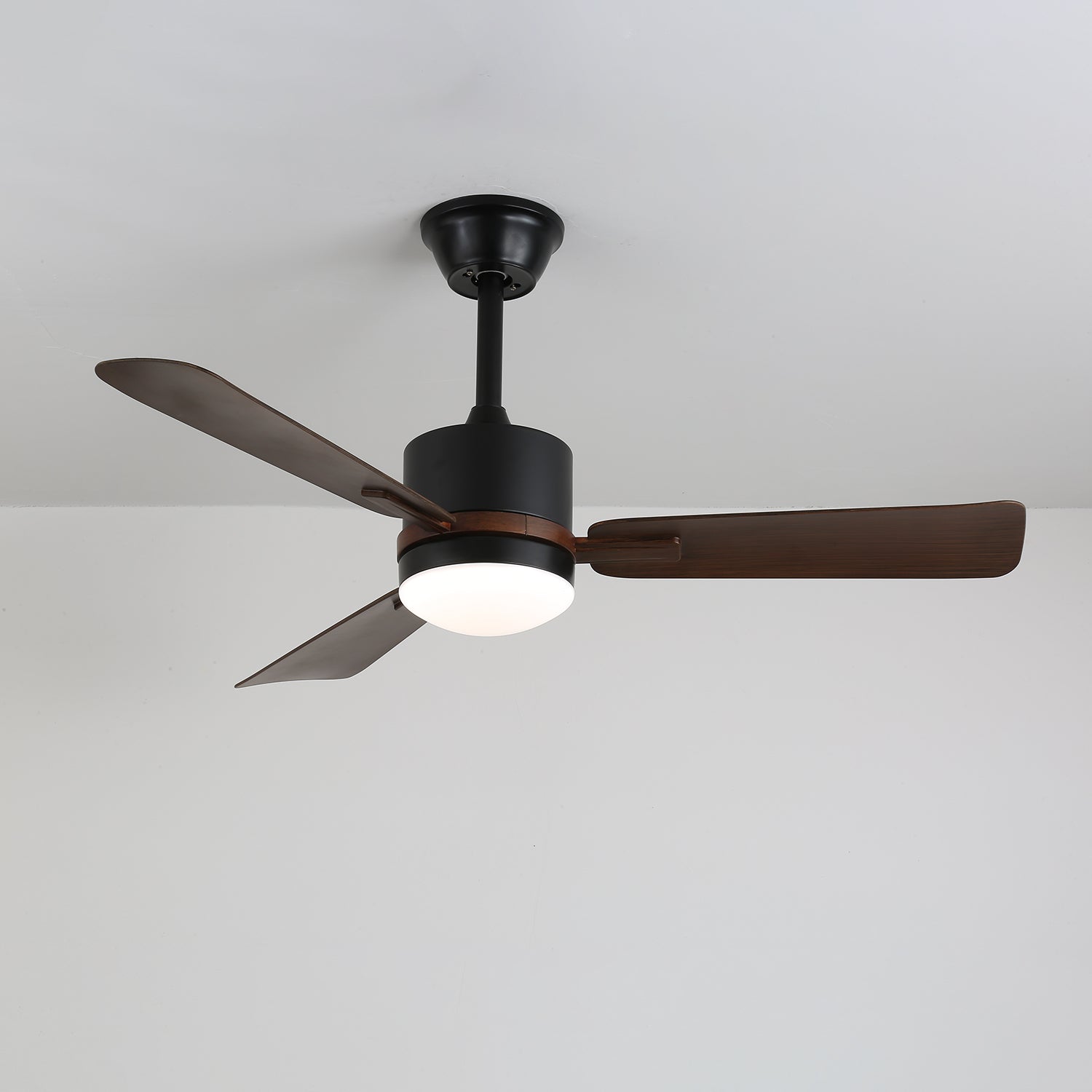 nimora-ceiling-fan-light-anzaz--5