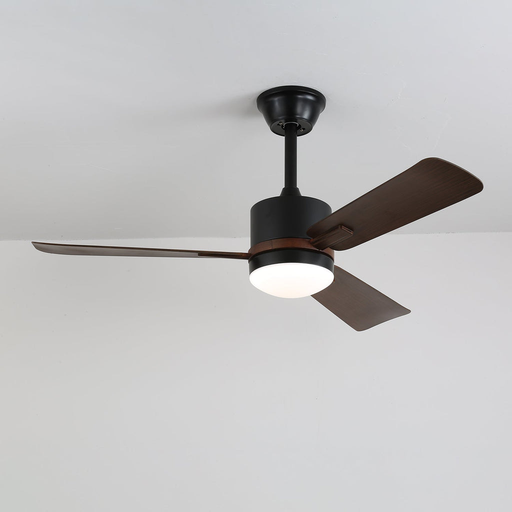 nimora-ceiling-fan-light-anzaz--7
