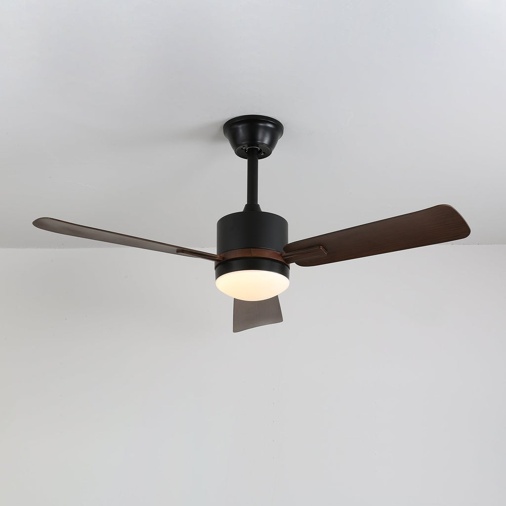 nimora-ceiling-fan-light-anzaz--8