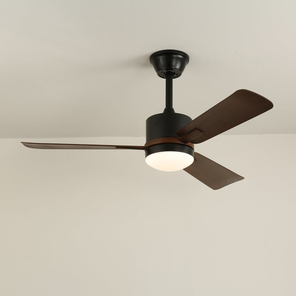 nimora-ceiling-fan-light-anzaz--9