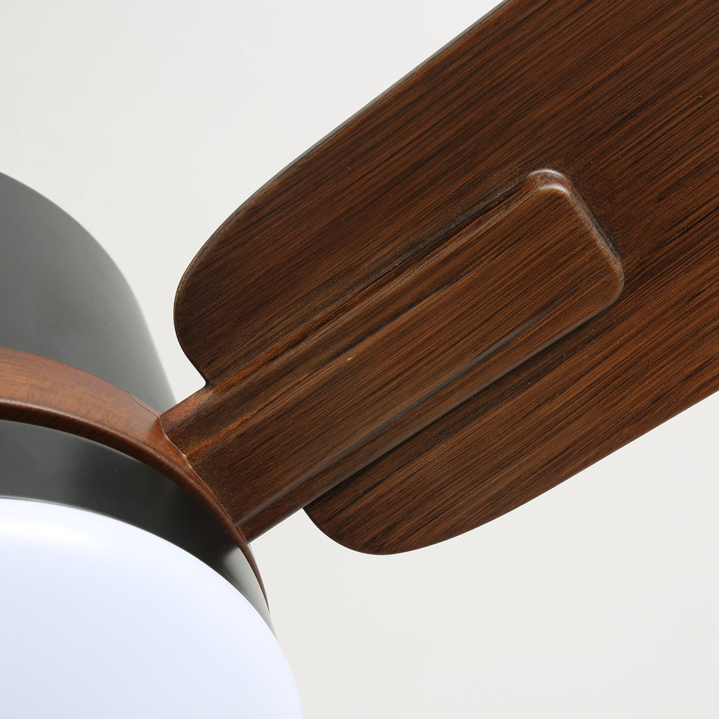 nimora-ceiling-fan-light-anzaz--11