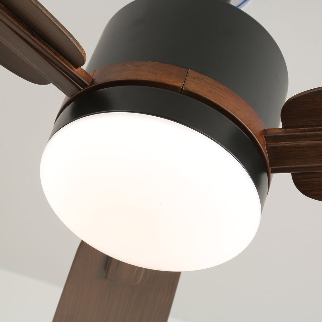 nimora-ceiling-fan-light-anzaz--13