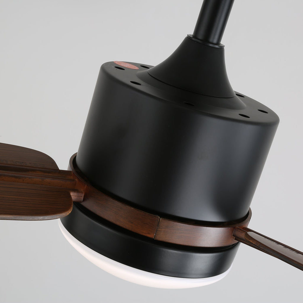 nimora-ceiling-fan-light-anzaz--14