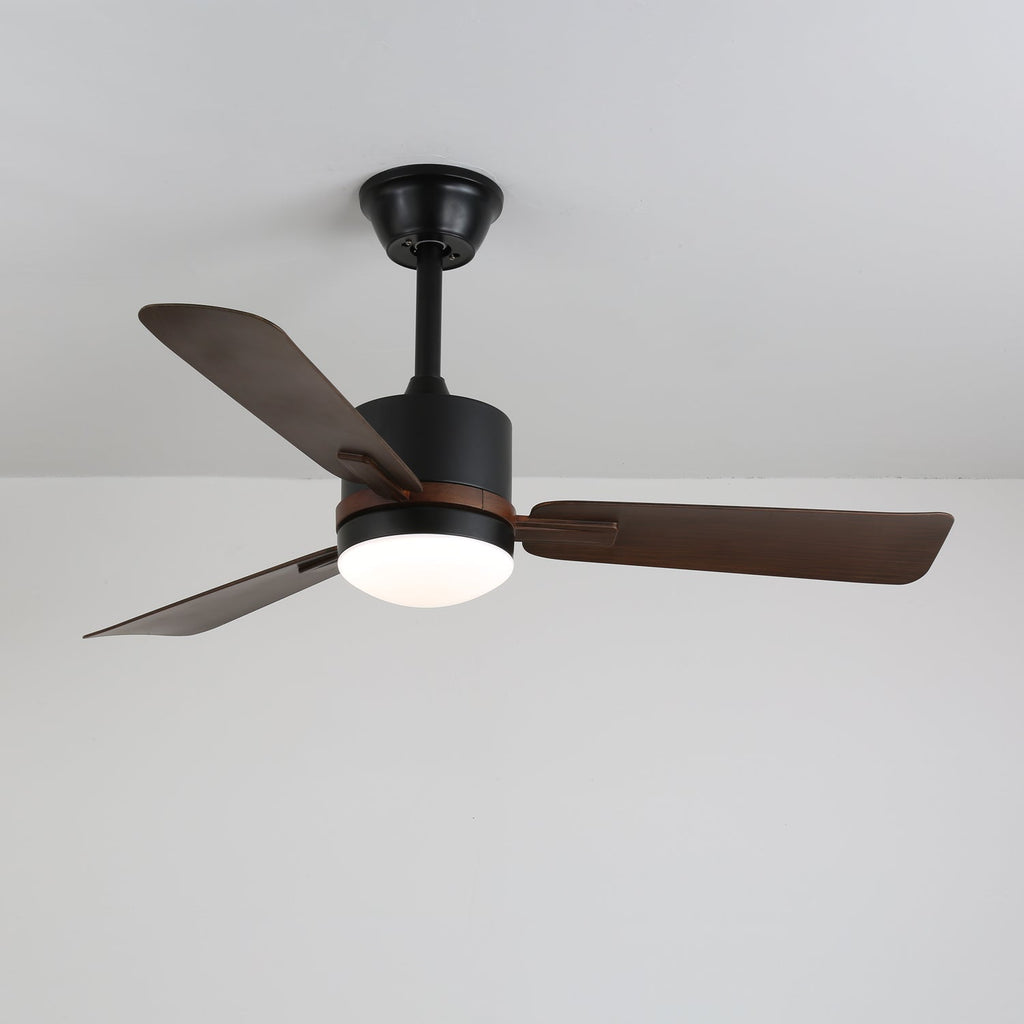 nimora-ceiling-fan-light-anzaz--2