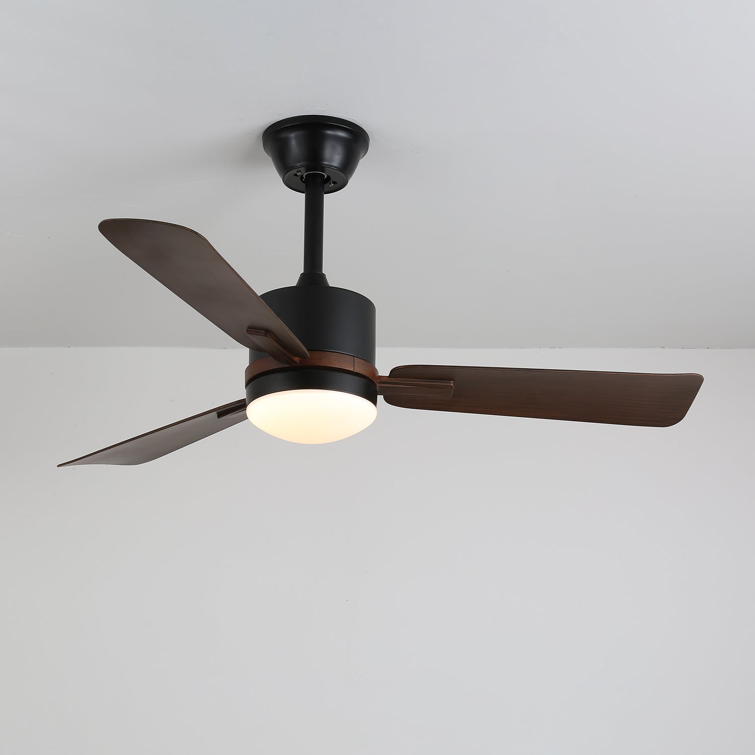 nimora-ceiling-fan-light-anzaz--3