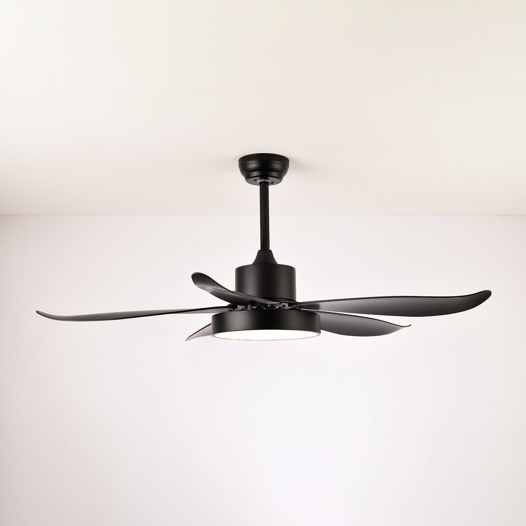 noctura-glide-ceiling-fan-anzaz--14