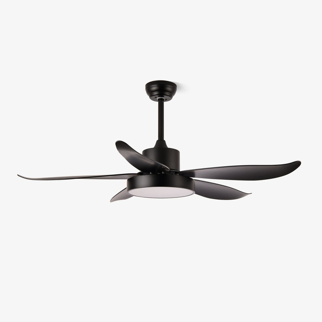noctura-glide-ceiling-fan-anzaz-Black-1