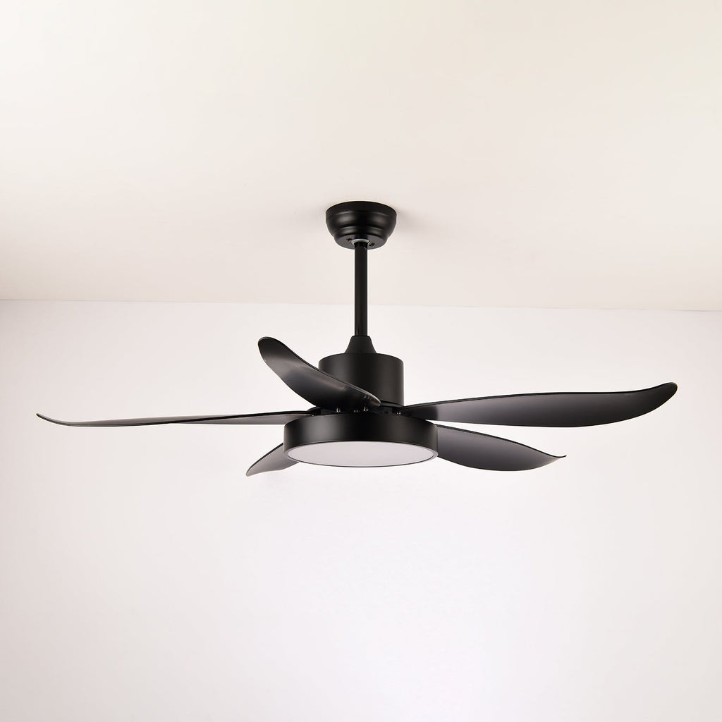 noctura-glide-ceiling-fan-anzaz-Green-3