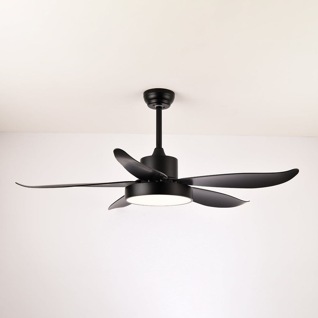 noctura-glide-ceiling-fan-anzaz-Grey-4