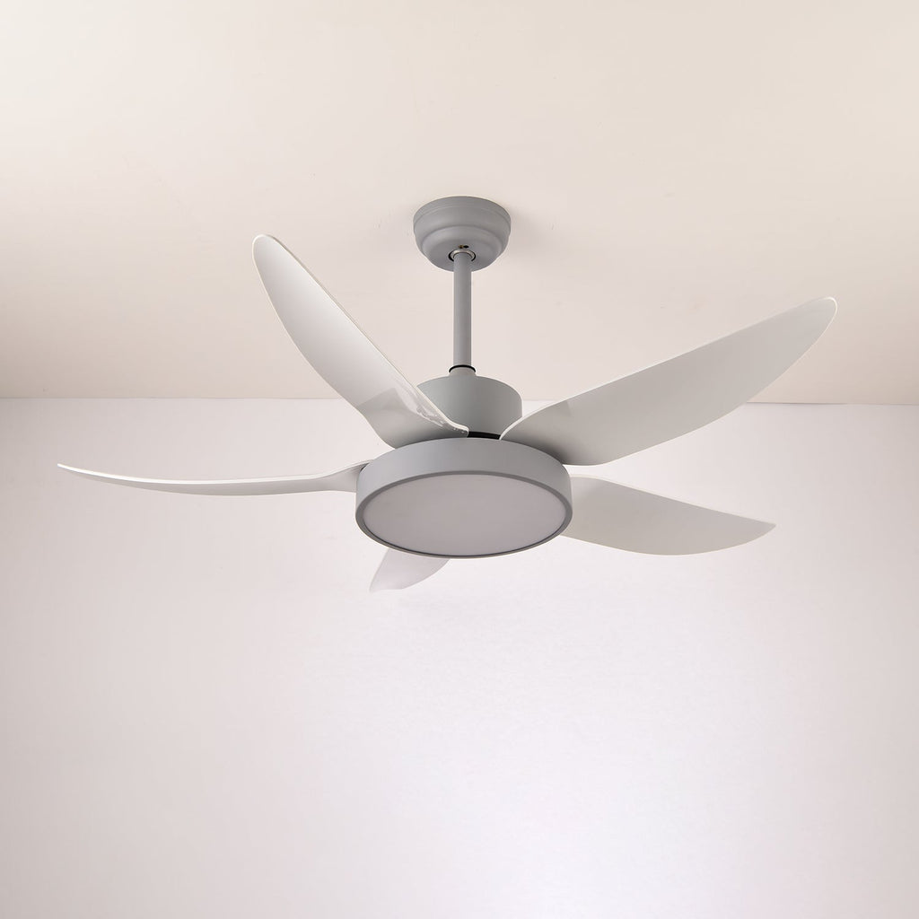 noctura-glide-ceiling-fan-anzaz--8