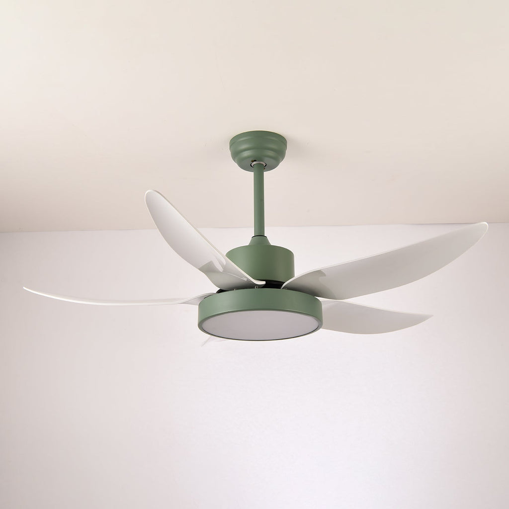 noctura-glide-ceiling-fan-anzaz--11