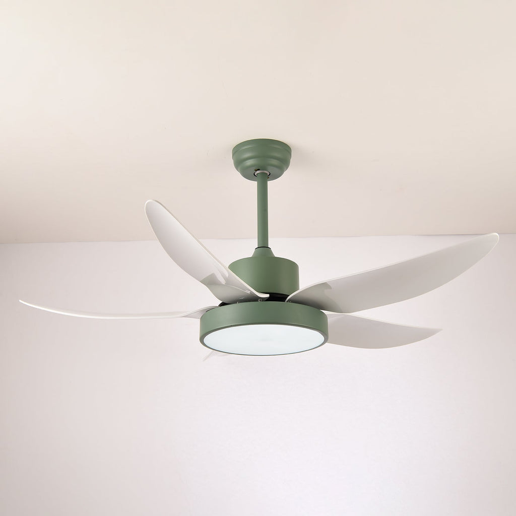 noctura-glide-ceiling-fan-anzaz--12