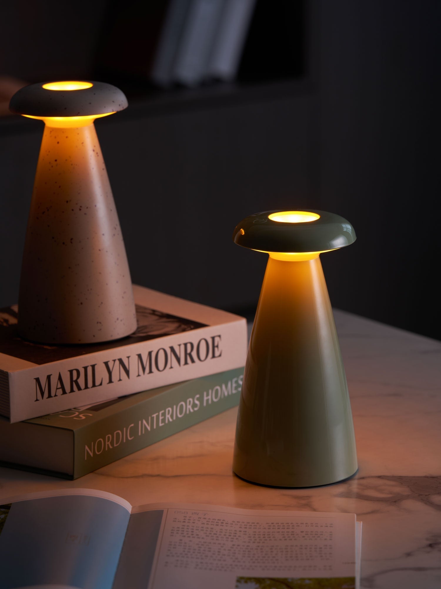 noko-mushroom-rechargeable-table-lamp-anzaz--20