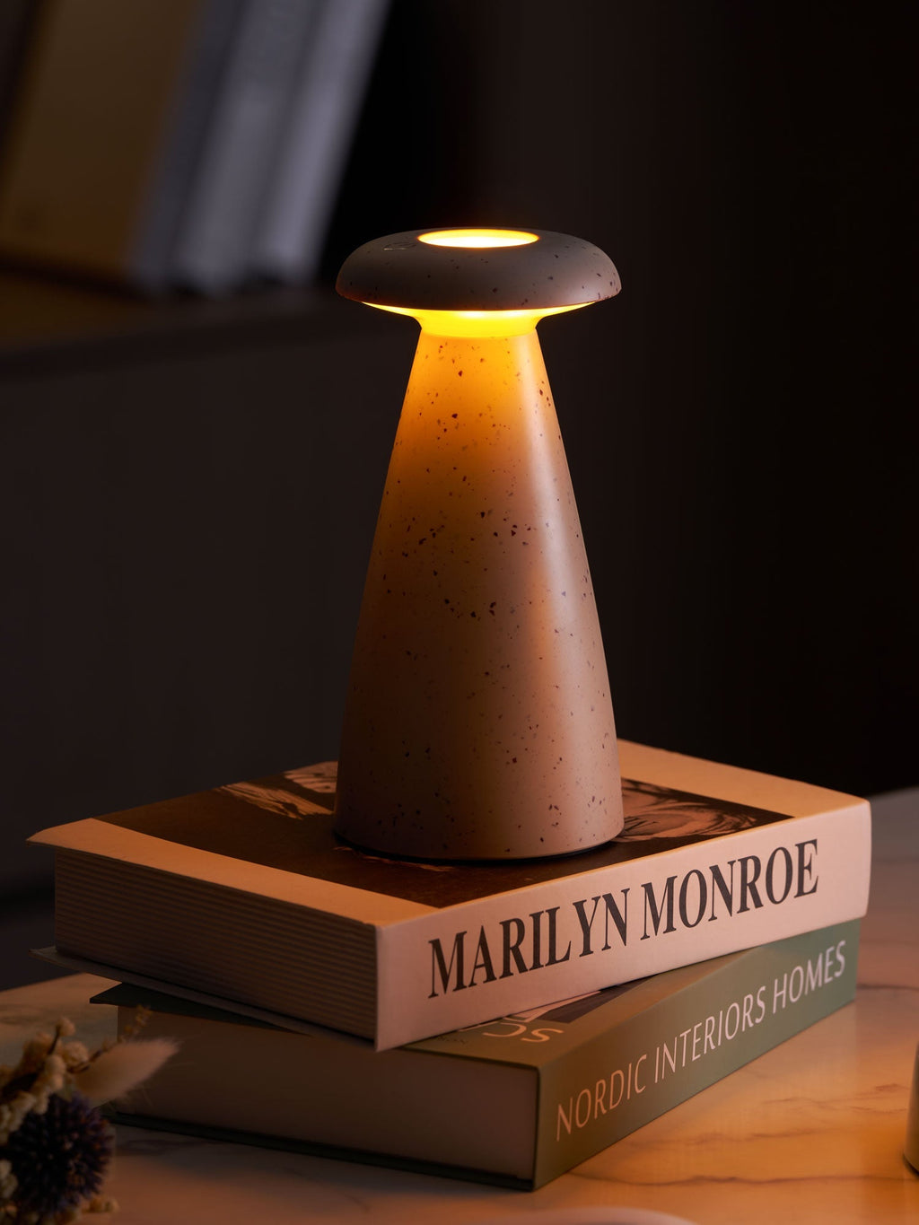 noko-mushroom-rechargeable-table-lamp-anzaz--4