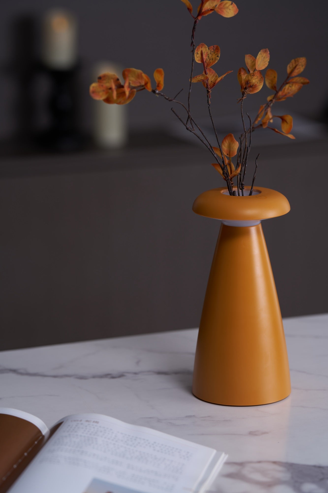 noko-mushroom-rechargeable-table-lamp-anzaz--10