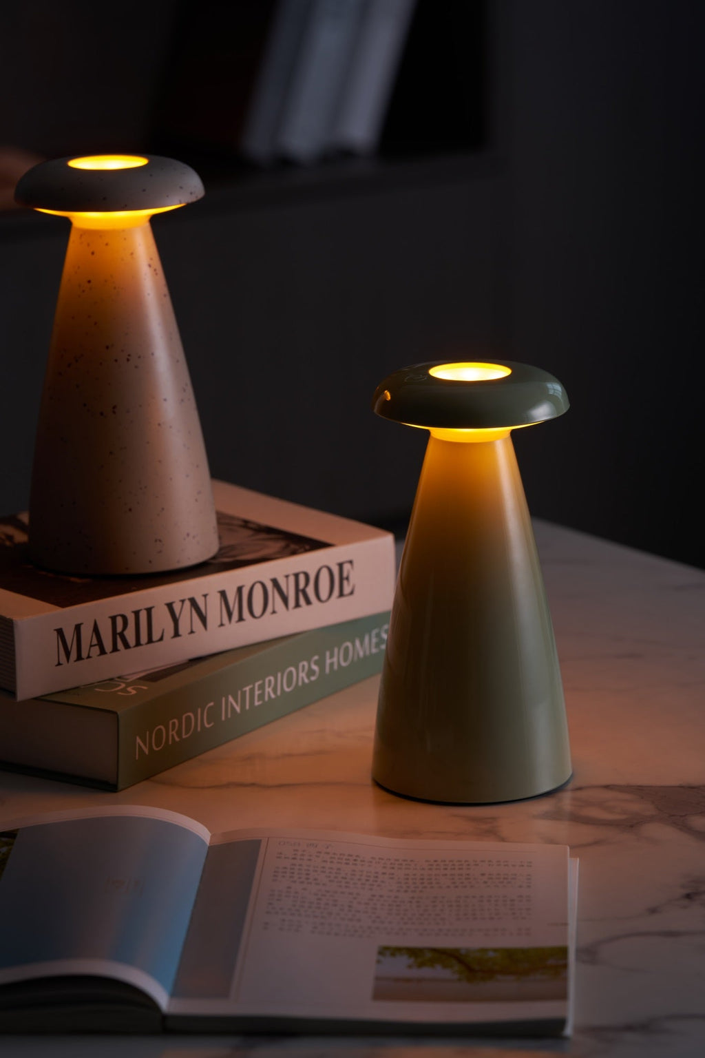 noko-mushroom-rechargeable-table-lamp-anzaz--59