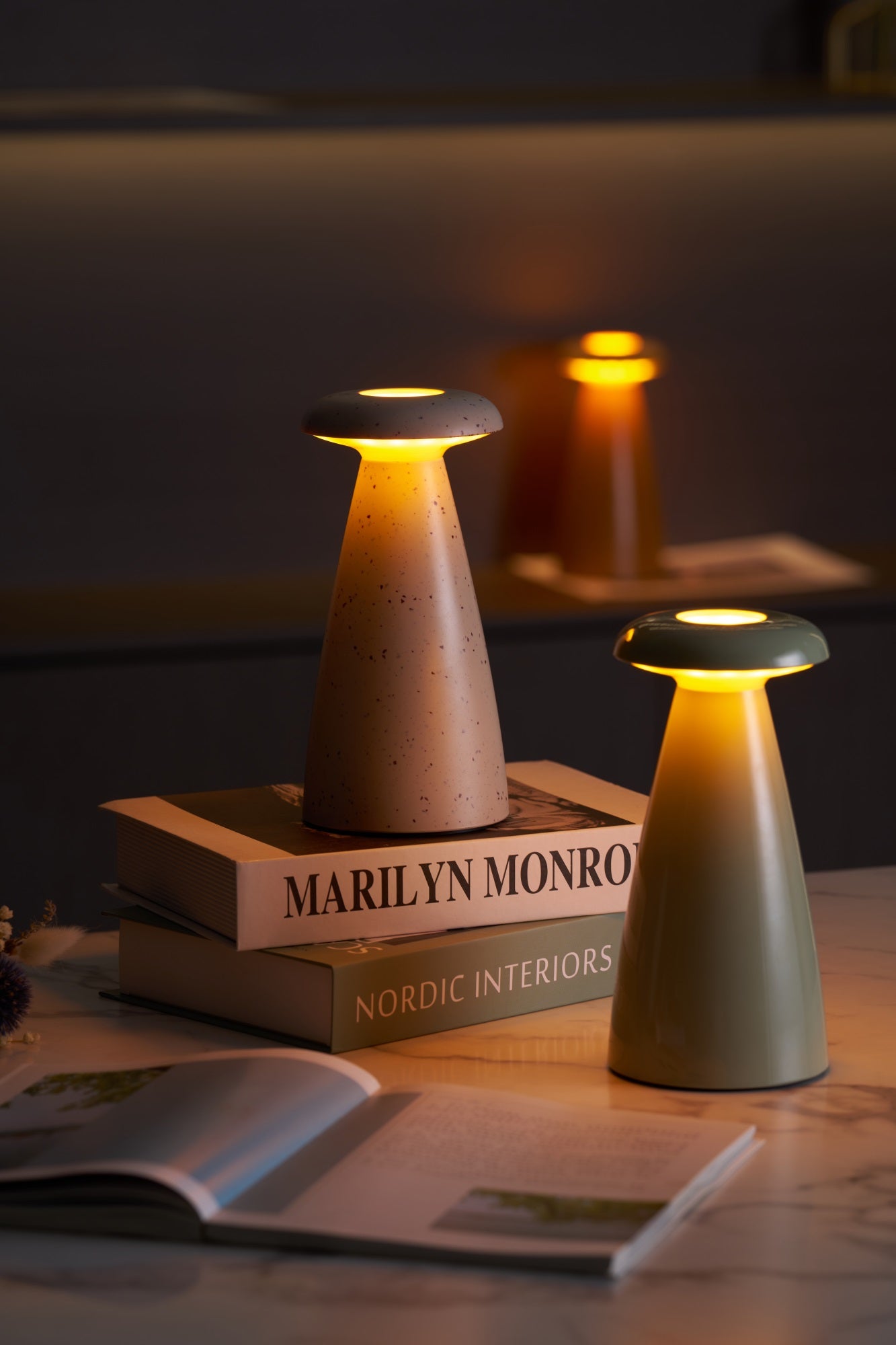 noko-mushroom-rechargeable-table-lamp-anzaz--16