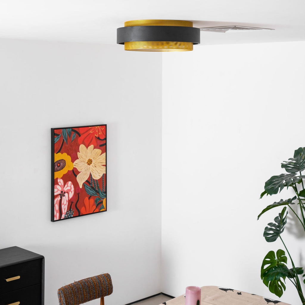 nolan-ceiling-light-anzaz--19