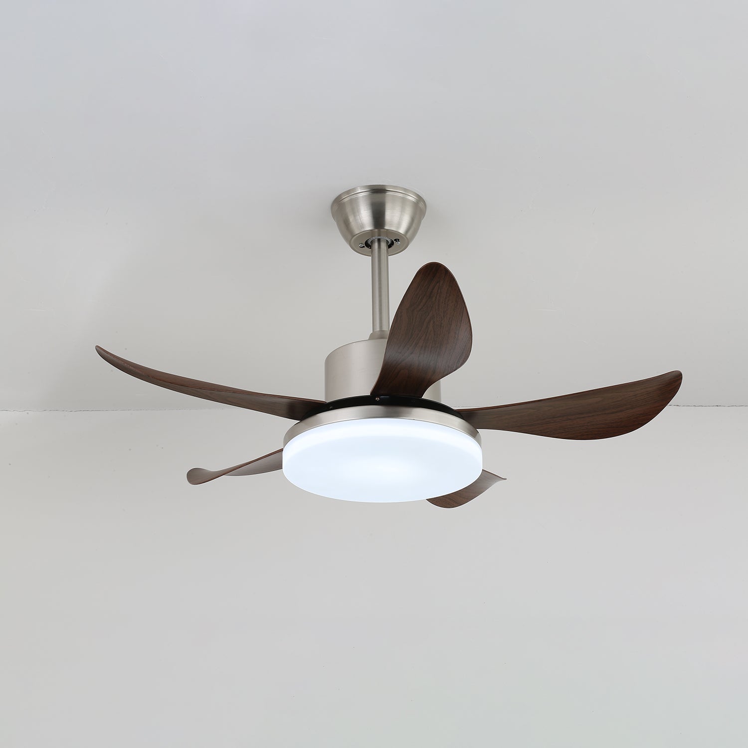 oliver-ceiling-fan-light-anzaz--4
