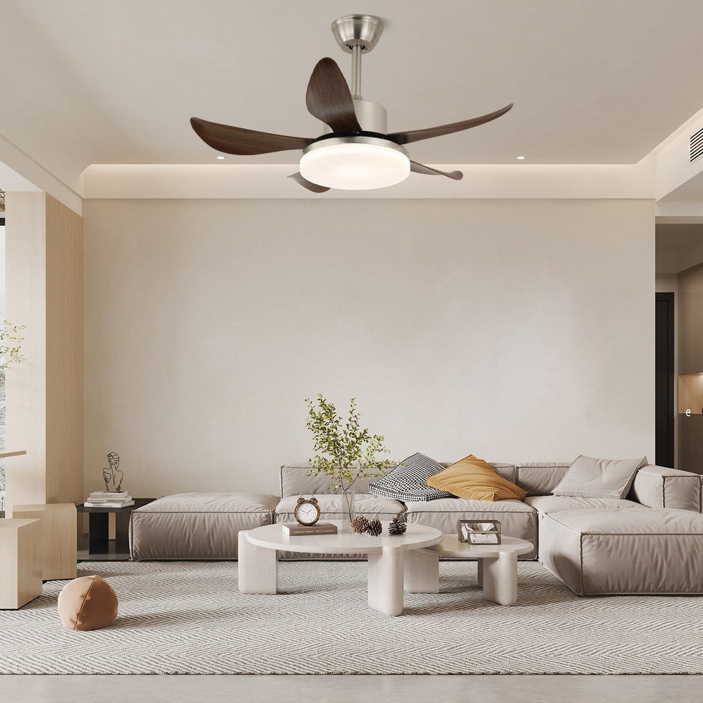 oliver-ceiling-fan-light-anzaz--2