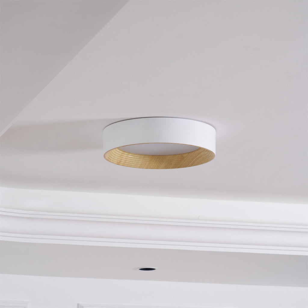 oreen-ceiling-lamp-anzaz--31