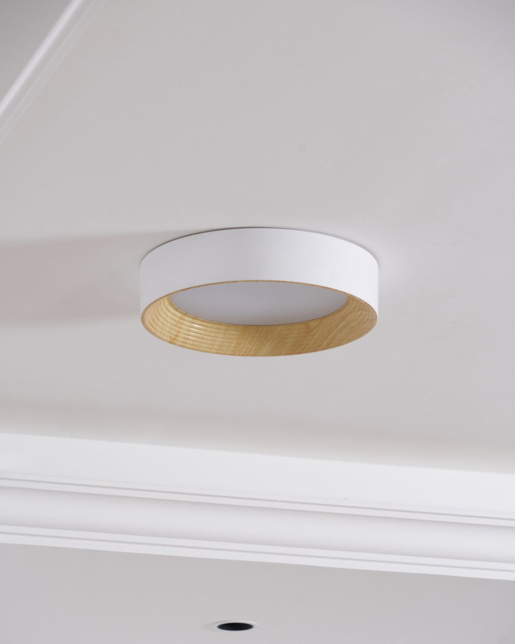 oreen-ceiling-lamp-anzaz--20