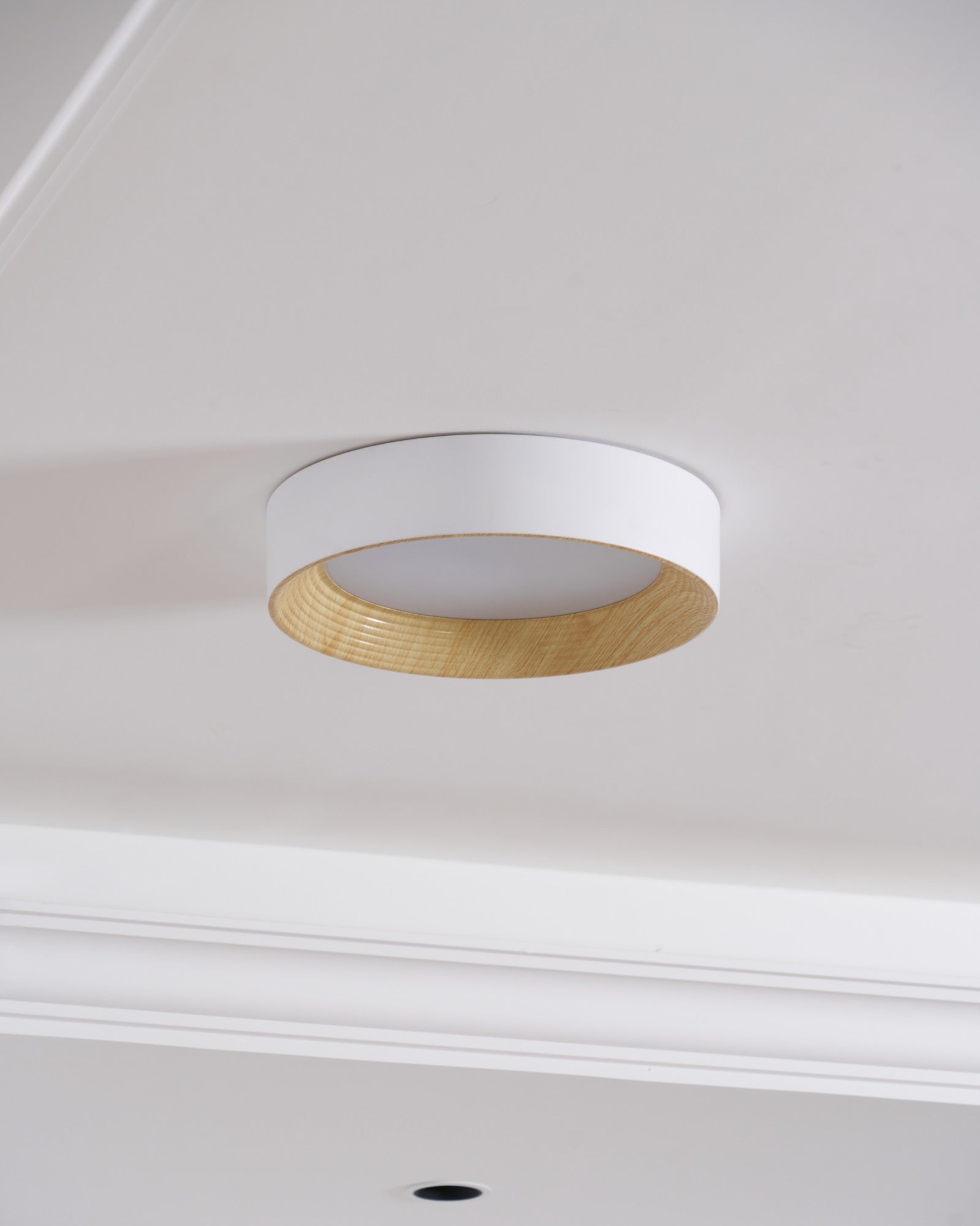 oreen-ceiling-lamp-anzaz--20