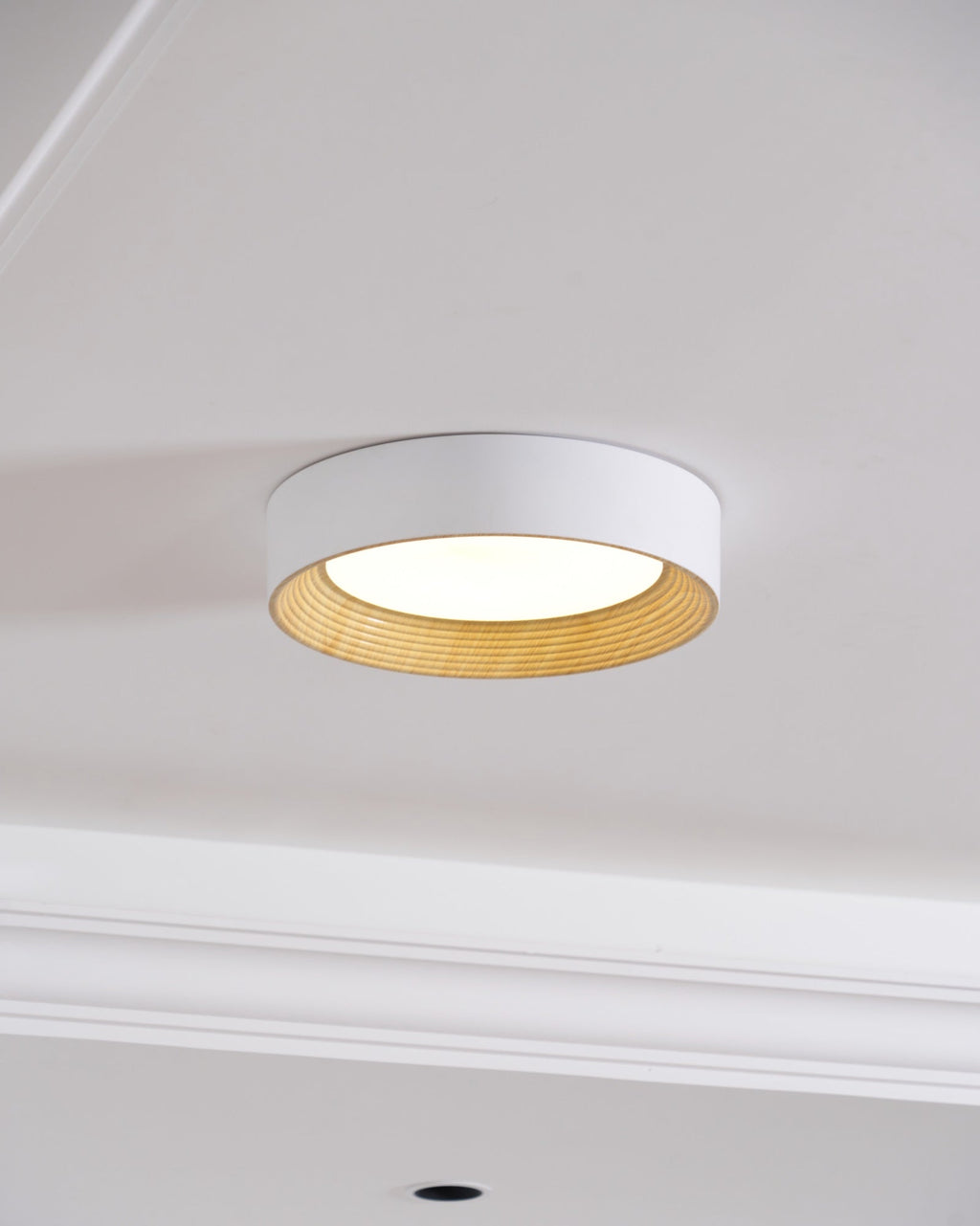 oreen-ceiling-lamp-anzaz--5
