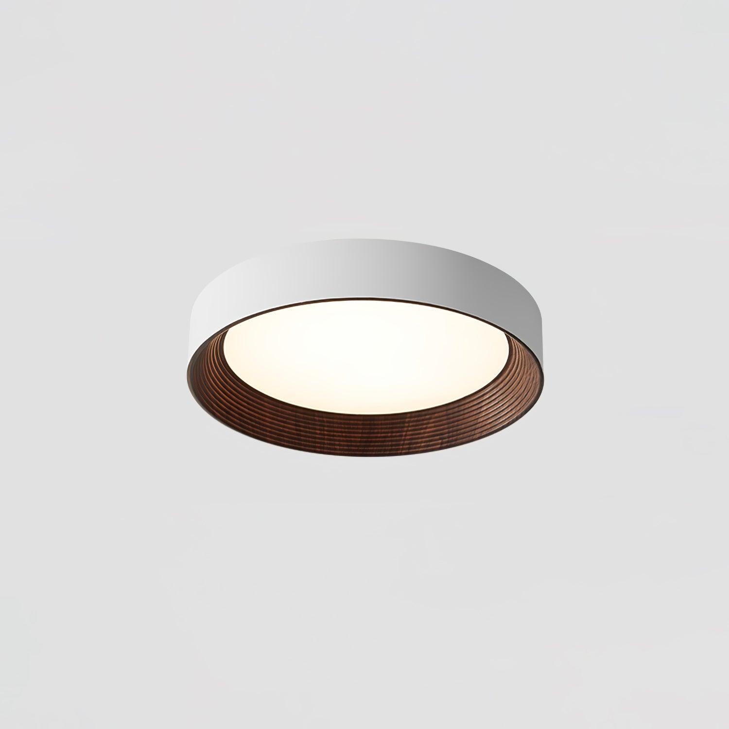 oreen-ceiling-lamp-anzaz--16