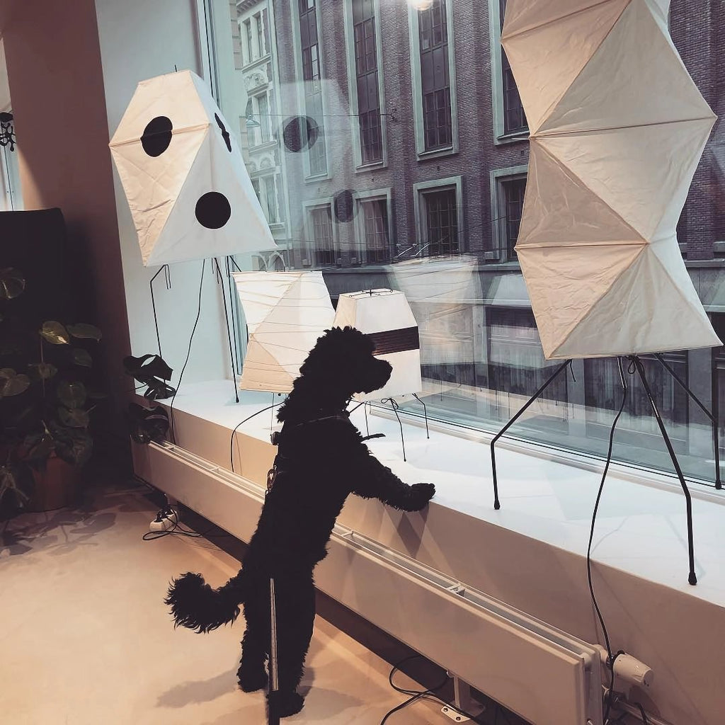 origami-lantern-floor-lamp-anzaz--8