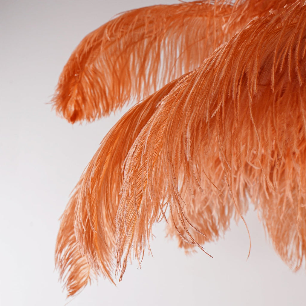 ostrich-feather-floor-lamp-anzaz--143